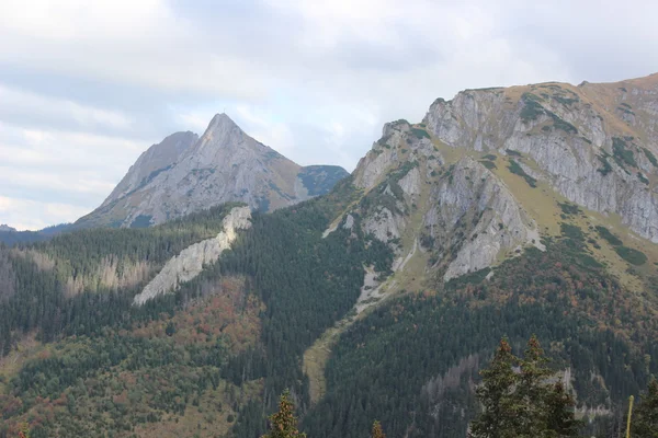 Giewont - słynny górskich w polskich Tatrach z krzyżem na szczycie — Zdjęcie stockowe