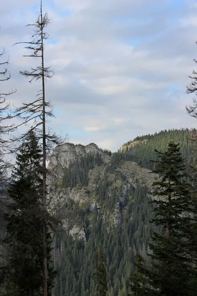 Czerwone wierchy, tatra Dağları, Polonya — Stok fotoğraf