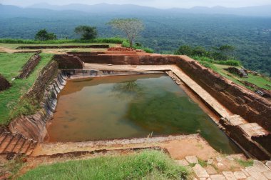 ağaç üst Sarayı sigiriya üzerinde Seylan büyür