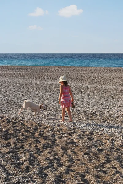 Девушка с собакой гуляет по пляжу — стоковое фото