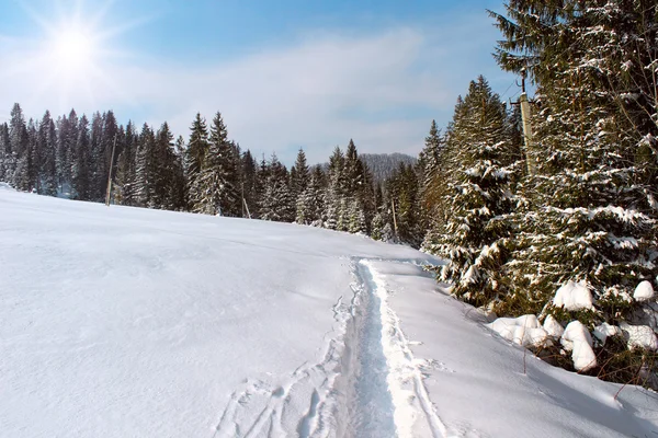 Neve vazia coberta de estrada de inverno nas montanhas — Fotografia de Stock