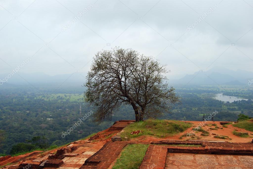 picturesque view from the upper palace Sigiriya, Sri Lanka