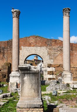 sütunlar ve Roma Forumu bazilika aemilia kalıntıları