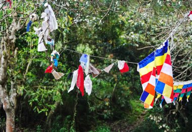 ağacın yanında Budist manastırda dua bayrakları