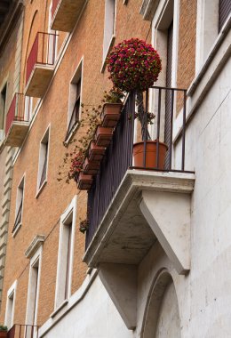 Dekoratif ağaç kırmızı çiçekli balkon Roma kalıyor