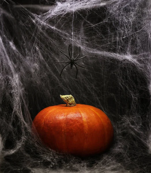 Dýně Bílém Pavučině Pozadí Halloween Design — Stock fotografie