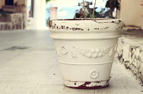 Ancient white flower pot in Greece — Stock Photo, Image