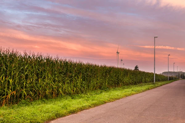 Landschaft mit Windkraftanlage Stockbild