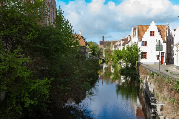 Brugge-félék — Stock Fotó