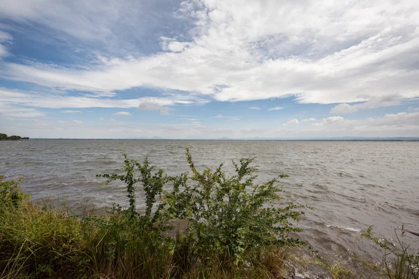 Paesaggio con acqua — Foto Stock