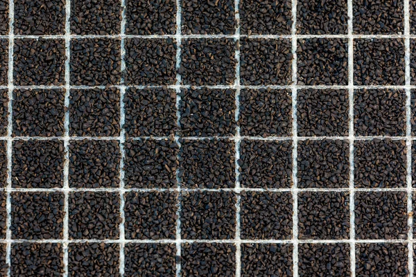 Grid asphalt — Stock Photo, Image