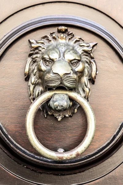 Puerta golpeador león —  Fotos de Stock