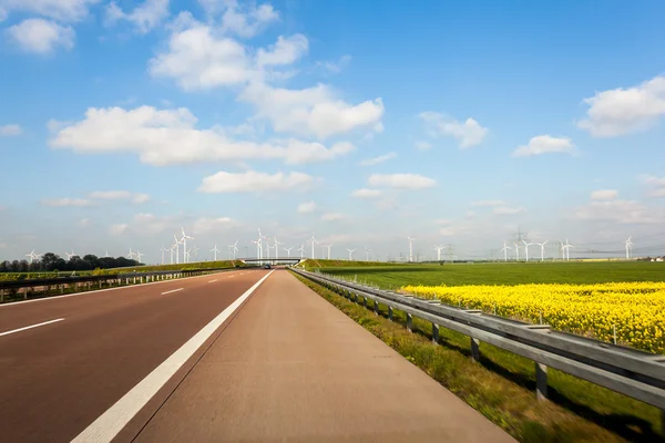 Road whit windmillpark — Stockfoto