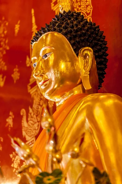 Buddha — Stockfoto