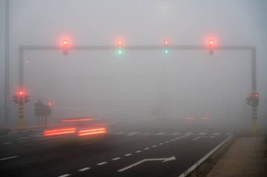 Sabahın köründe yoğun siste trafik ışıkları var.