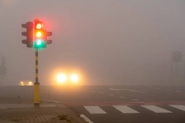 道路上の早朝にあなたは厚い霧の中でこれらの信号を持っている — ストック写真