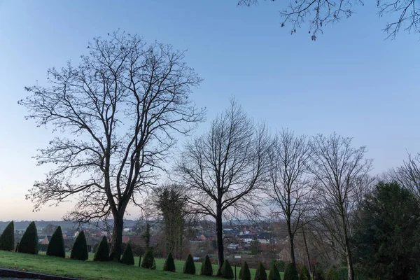 Sunrise Raden Träd Licht Perfekt — Stockfoto