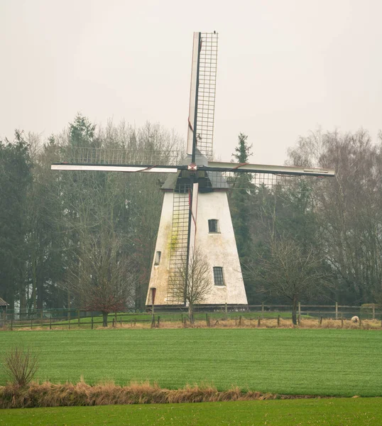 Denna Gamla Väderkvarn Ter Hengst Ligger Nationalparken Flamländska Ardennerna — Stockfoto