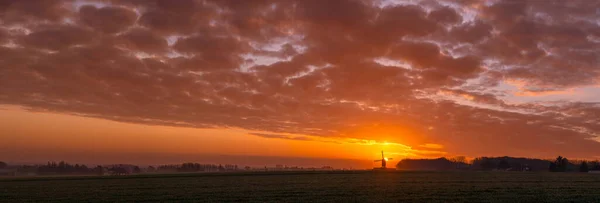 この美しい山の工場は 太陽と雲の上昇と Wannegem Ledeベルギーに位置しています — ストック写真