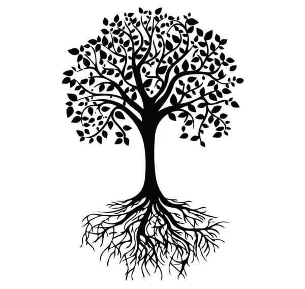 Silueta Árbol Negro Aislada Sobre Fondo Blanco — Vector de stock