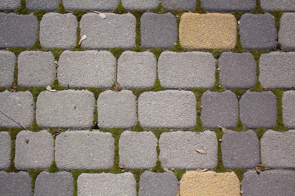 Brick wall — Stock Photo, Image