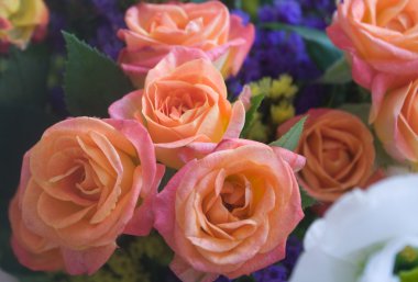 parlak bir arka plan üzerinde üç gül yakın çekim