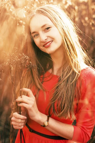 Beautiful girl in a field — Stock Photo, Image