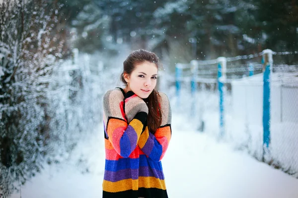 Hermosa morena en el parque de invierno. Colores fríos, clima nevado . — Foto de Stock