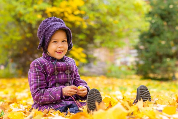 Niña caucásica de cinco años sentada en el suelo con hojas amarillas en el parque de otoño —  Fotos de Stock