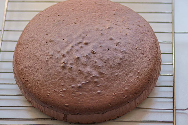 High angle view of baked homemade chocolate sponge cake cooling on rack on white background — стоковое фото