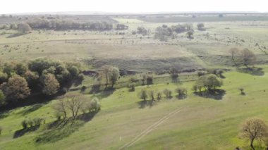 Yeşil Bahar Manzarası İnsansız Hava Aracı Görünümü