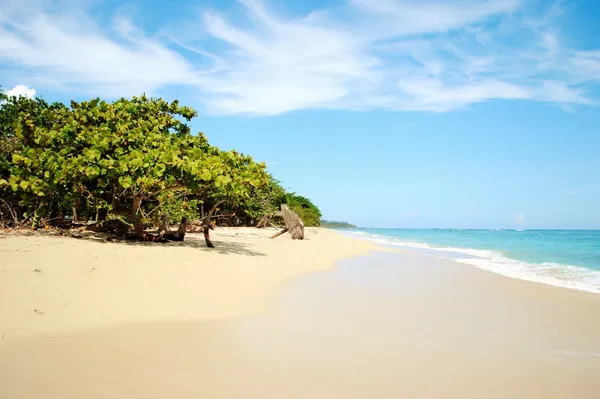 Día soleado Imagen de stock