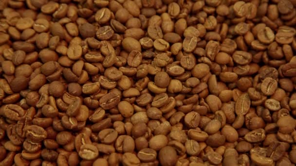 Extreme Close Panorama Tasty Organic Light Colombia Coffee Beans — Stock Video