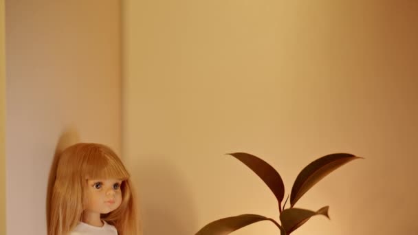 Nærbillede Sød Lille Dukke Med Hvidt Tøj Sidder Træbrættet Ved – Stock-video