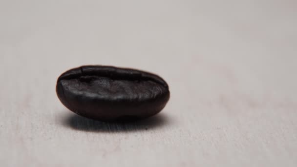 Closeup Macro Group Roasted Brown Black Coffee Grains Background — Stock Video