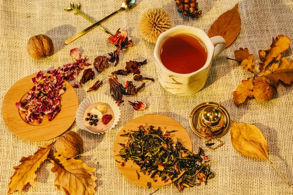 Herbststilleben Mit Getrockneten Teeblättern Und Einer Tasse Tee Warme Herbststimmung — Stockfoto