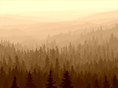 Wild coniferous wood in morning fog. clipart