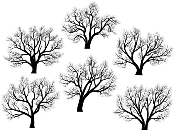 Silhouettes d'arbres sans feuilles . — Image vectorielle