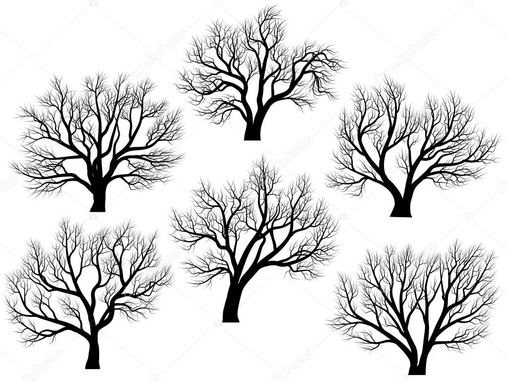 Silhouettes of trees without leaves.