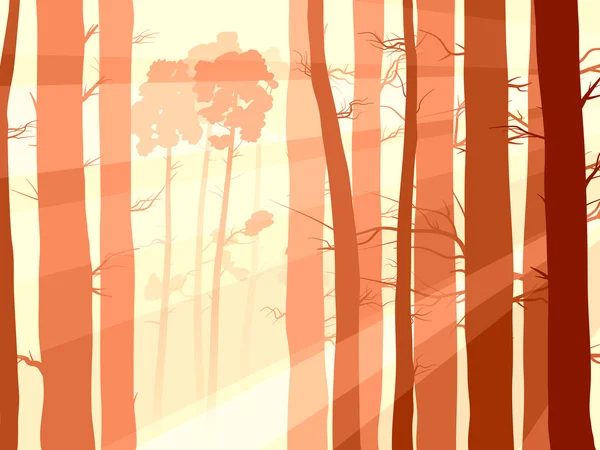 Ilustración horizontal del bosque de pinos con rayos solares . — Vector de stock