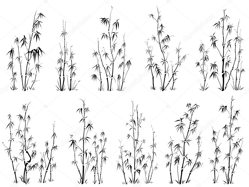 Set of vector silhouettes of bamboos.