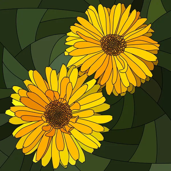 Vector illustration of flower yellow calendula. — Stock Vector