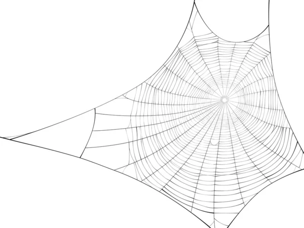 Vektor silhuett av web av spider. — Stock vektor