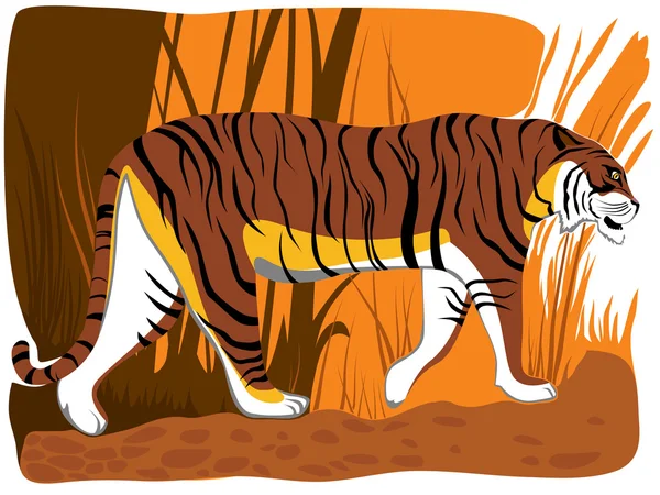 Ilustración vectorial del tigre de dibujos animados. — Archivo Imágenes Vectoriales