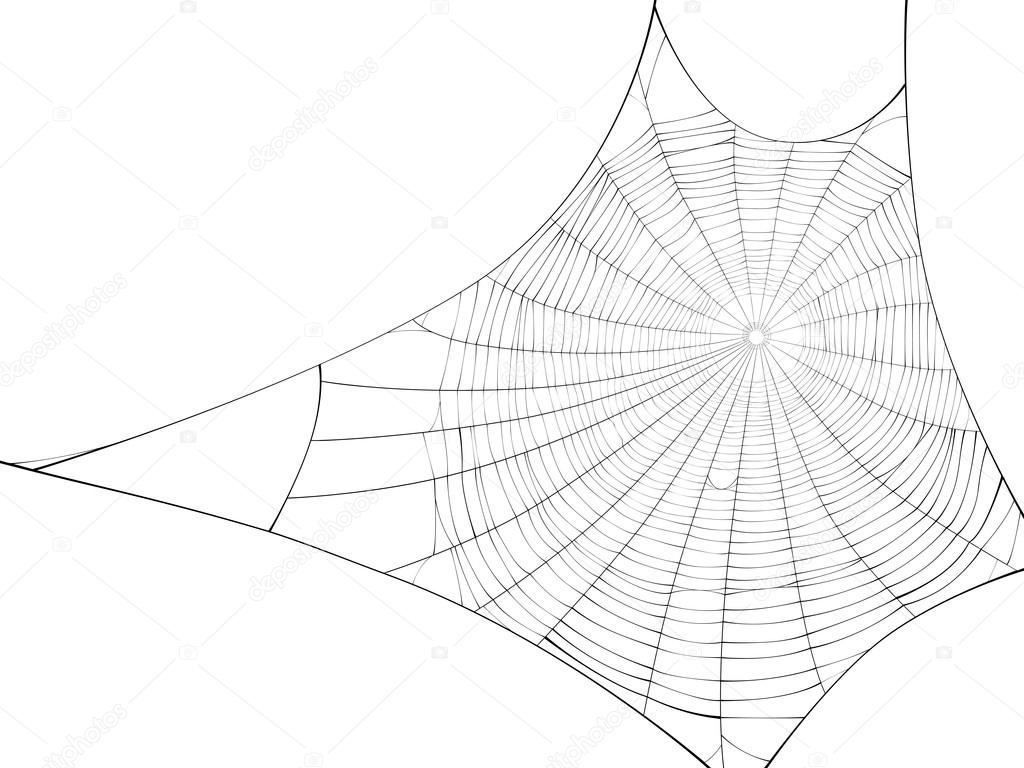 Vector silhouette of web of spider.