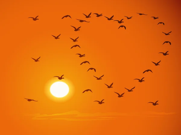 Flying flock birds against sunset. — Stock Vector