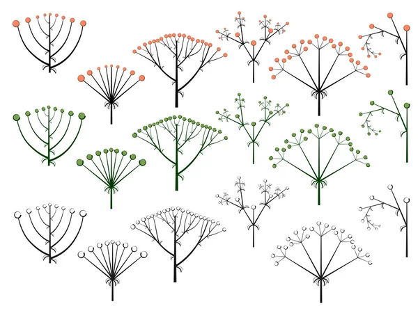 Set of vector different types of inflorescence. — Stock Vector