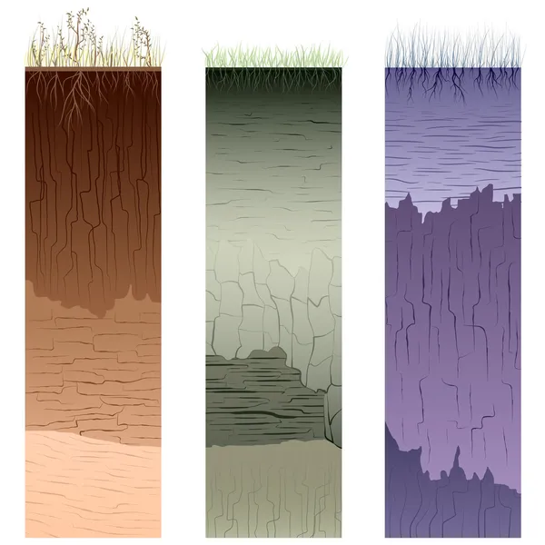 Cut of soil columns (profile). — Stock Vector