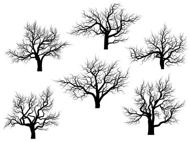 yaprakları olmadan meşe ağaçlarının Silhouettes.
