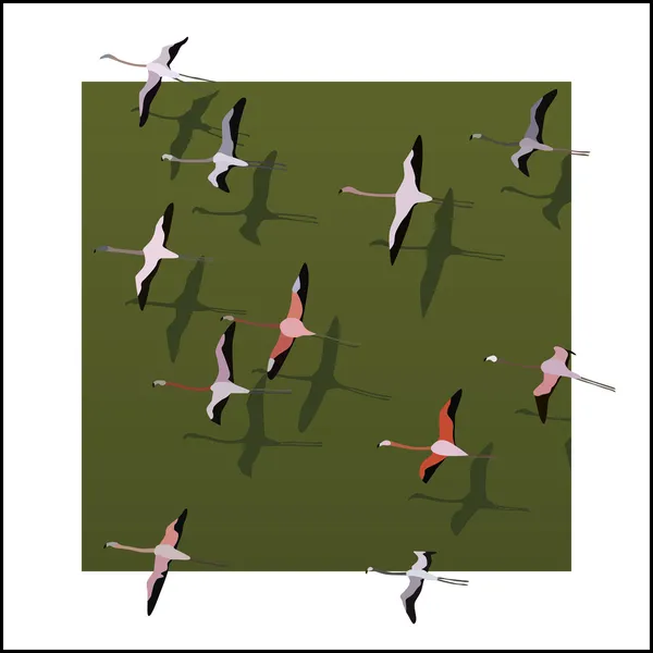 Vector flamingos flying over the green river. — Stock Vector